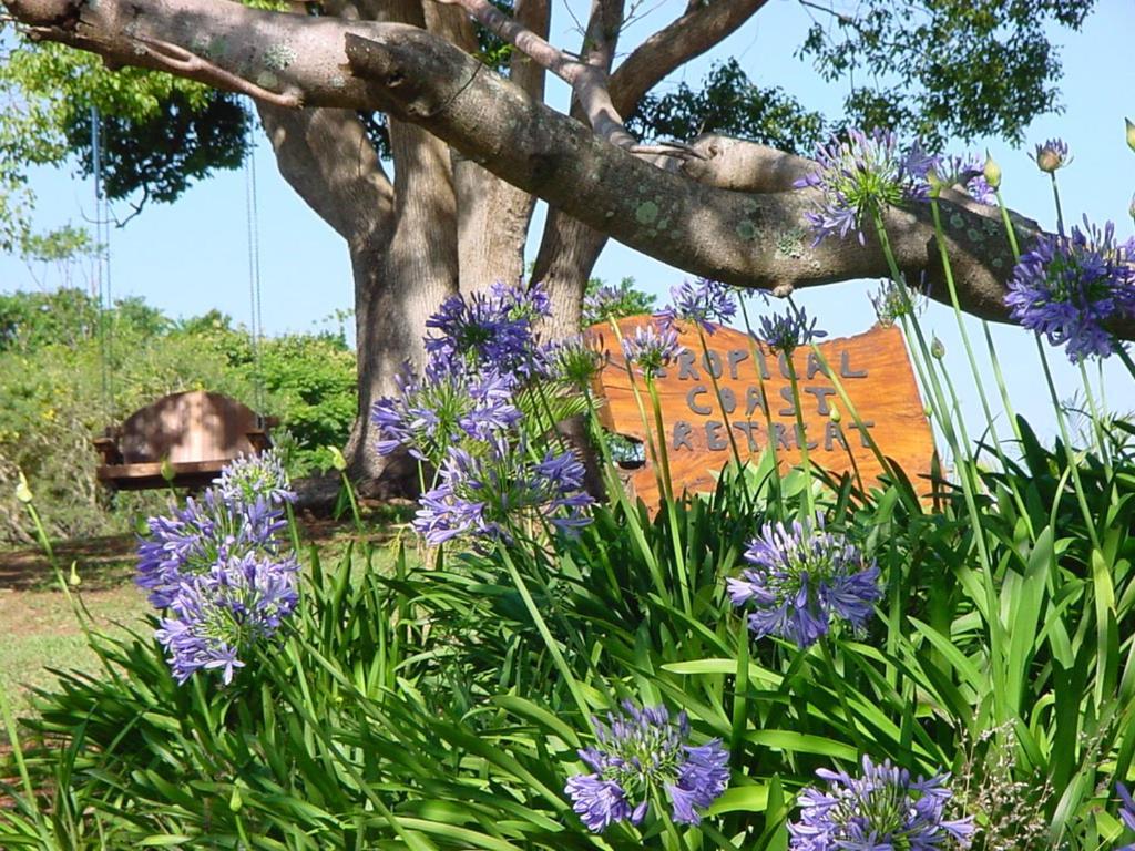 Tropical Coast Retreat - Pet Friendly - Adult Only Guest House Kingscliff Exterior foto