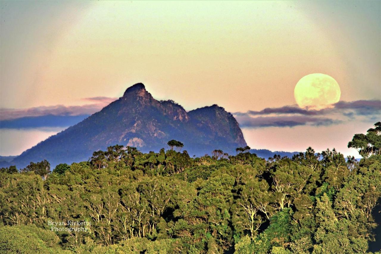 Tropical Coast Retreat - Pet Friendly - Adult Only Guest House Kingscliff Exterior foto