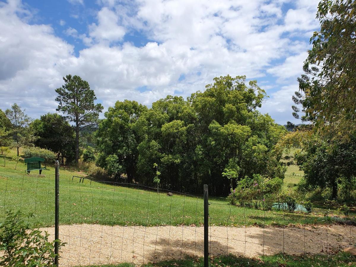 Tropical Coast Retreat - Pet Friendly - Adult Only Guest House Kingscliff Exterior foto
