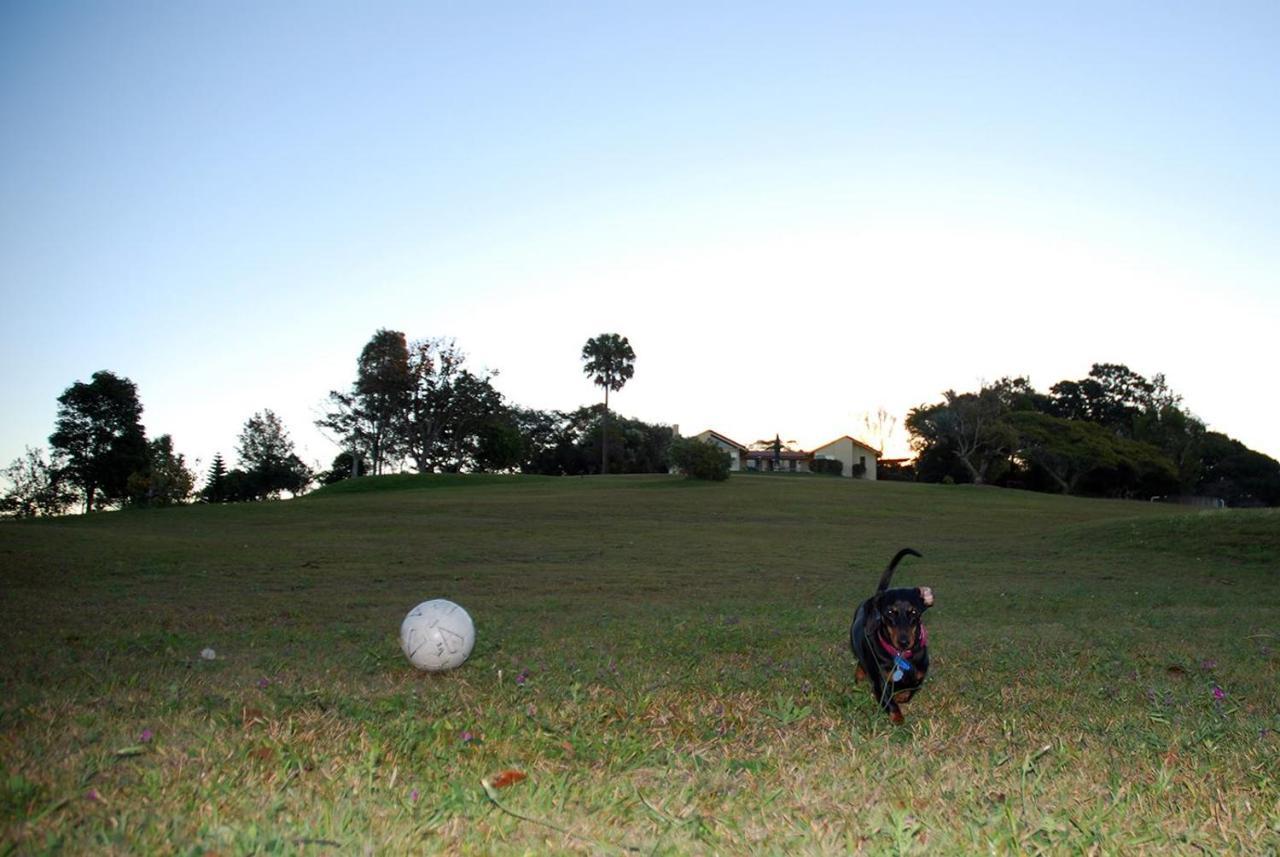 Tropical Coast Retreat - Pet Friendly - Adult Only Guest House Kingscliff Exterior foto