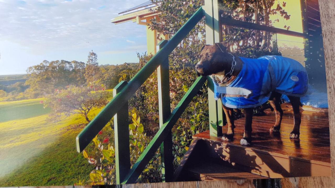 Tropical Coast Retreat - Pet Friendly - Adult Only Guest House Kingscliff Exterior foto