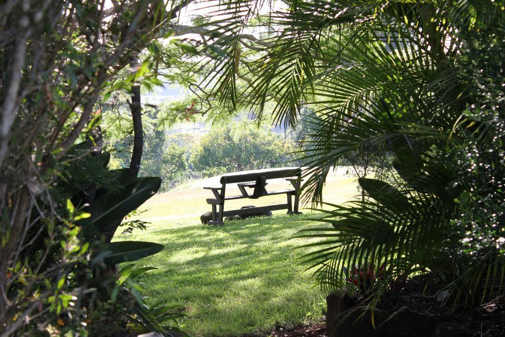 Tropical Coast Retreat - Pet Friendly - Adult Only Guest House Kingscliff Exterior foto