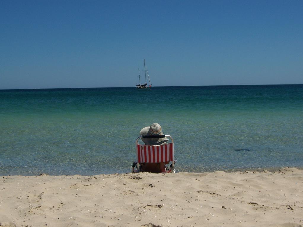 Tropical Coast Retreat - Pet Friendly - Adult Only Guest House Kingscliff Exterior foto