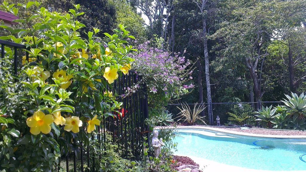 Tropical Coast Retreat - Pet Friendly - Adult Only Guest House Kingscliff Exterior foto