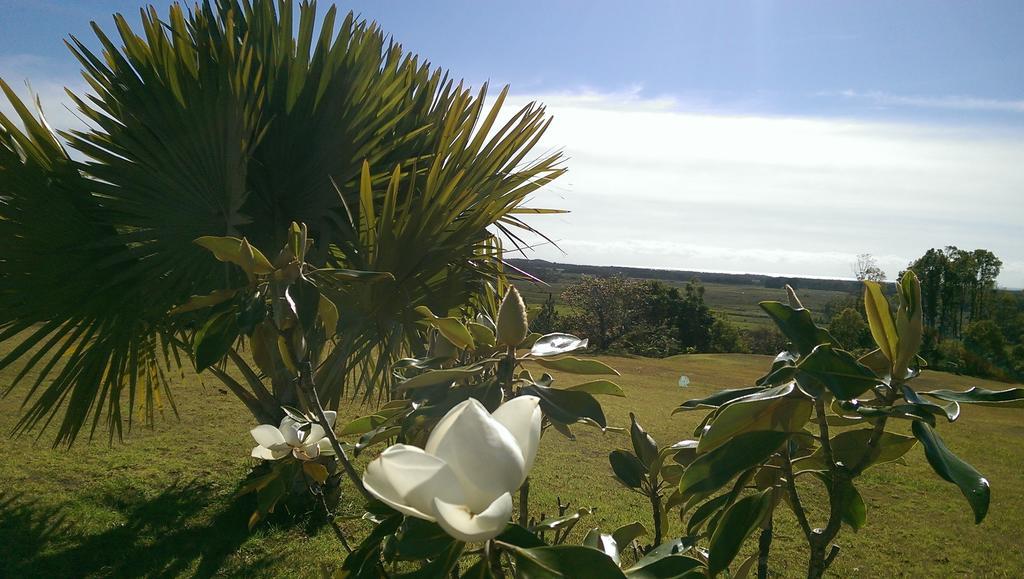 Tropical Coast Retreat - Pet Friendly - Adult Only Guest House Kingscliff Exterior foto