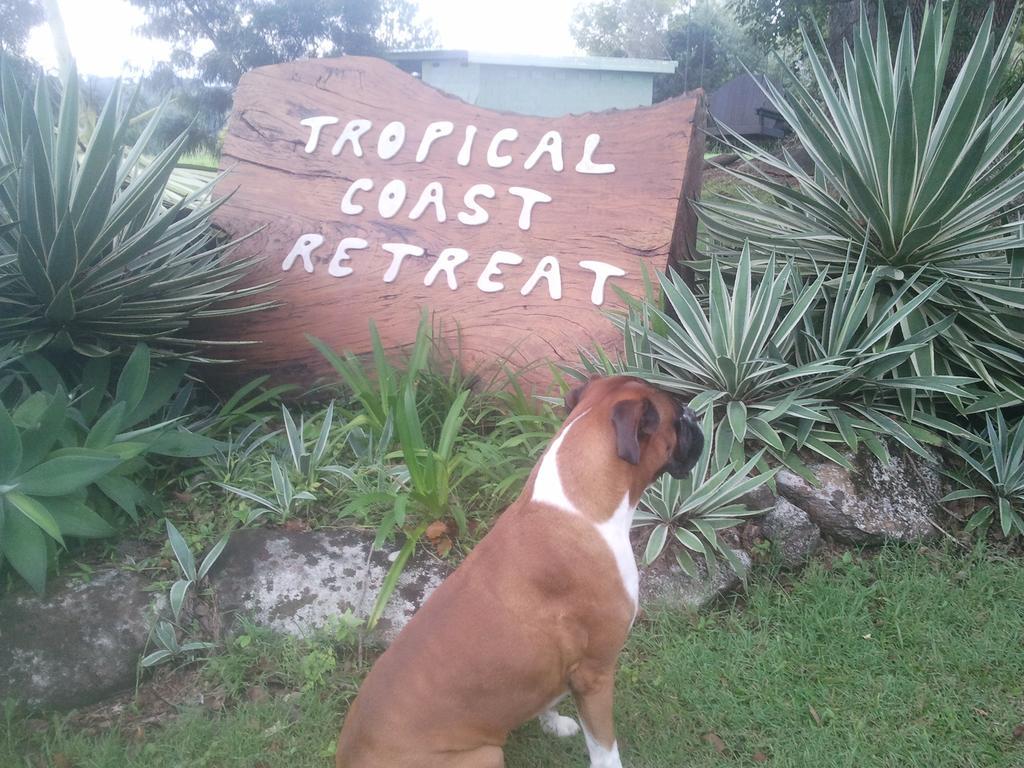 Tropical Coast Retreat - Pet Friendly - Adult Only Guest House Kingscliff Exterior foto